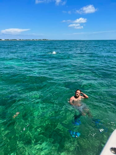 Epic Fish And Snorkel Combo In Little Torch Key