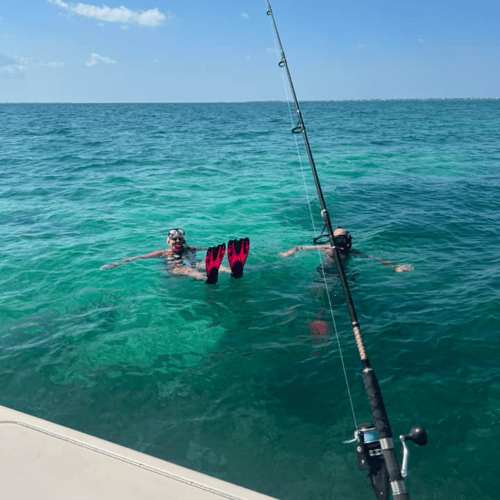 Epic Fish And Snorkel Combo In Little Torch Key