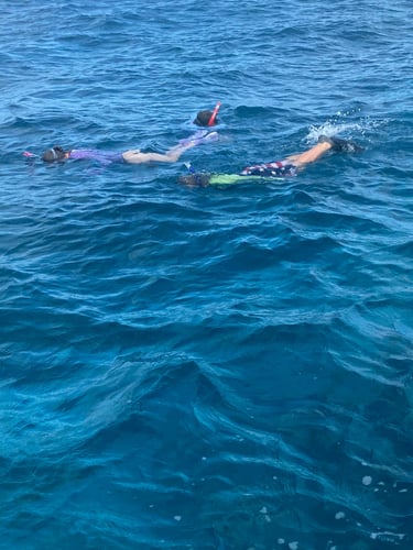 Lobstering And Reef Snorkeling Combo In Little Torch Key