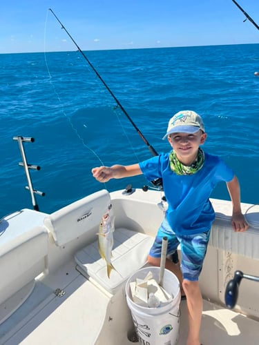 Epic Fish And Snorkel Combo In Little Torch Key