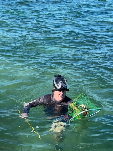 Lobstering And Reef Snorkeling Combo In Little Torch Key