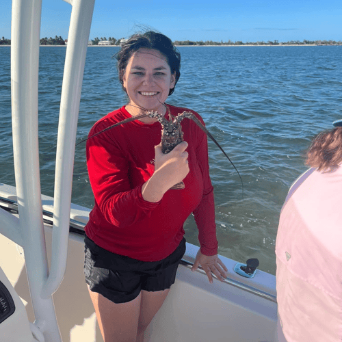 Catch Your Own Tasty Lobster! In Little Torch Key