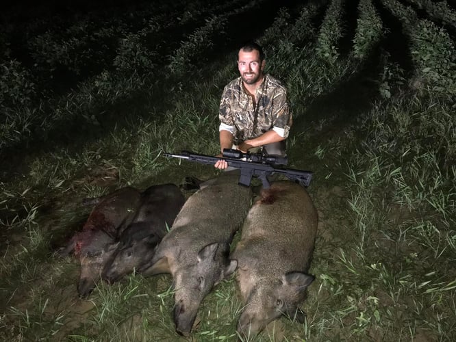 Thermal Pig Hunts In Dodd City