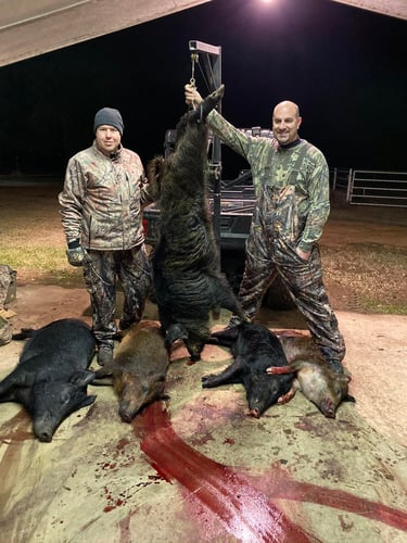 Thermal Hog Whack With Lodging In Dodd City