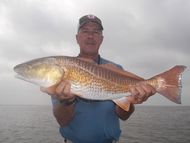 Rockport Airboat Redfishing! In Rockport