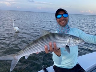 Miami Fishing Adventure In Miami