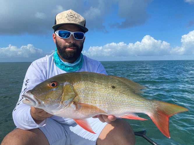 Miami Fishing Adventure In Miami