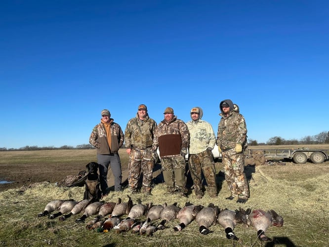 Texas Waterfowl Whack! In Dodd City