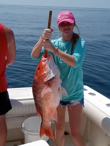 Offshore Snapper In Gulf Shores