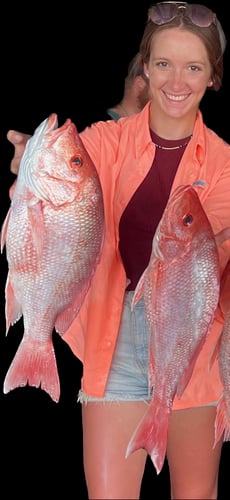 Red Snapper Trip In Boothville-Venice
