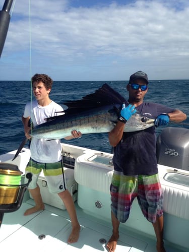 Tuna Marlin And More In Rincon