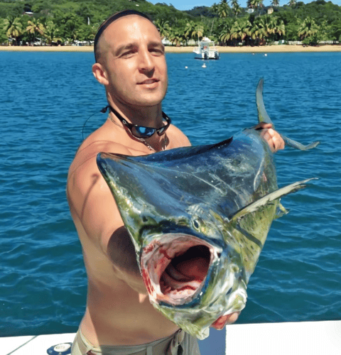 Tuna Marlin And More In Rincon