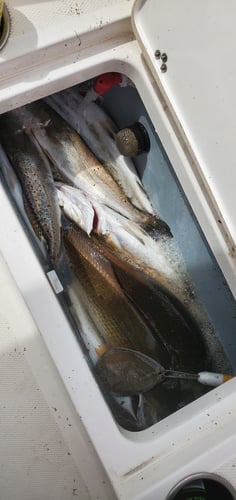 Epic Galveston Fishing Experience Catching Redfish In La Porte