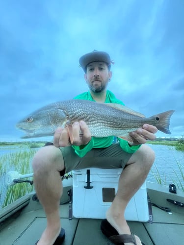 Backcountry Light Tackle Trips In St. Augustine