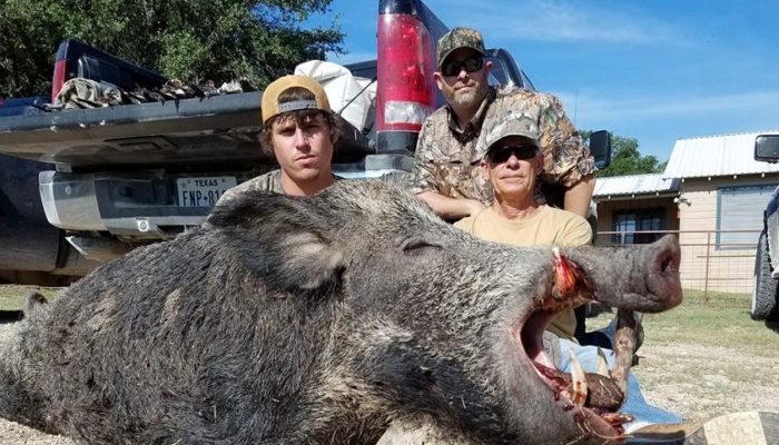 Stand/Feeder Hog Hunting In Corpus Christi