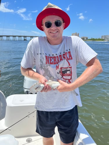 4 Hour Backwater/Nearcoastal Fishing Charter In Naples