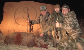 West Texas Hog Hunts With Lodging! In Trent