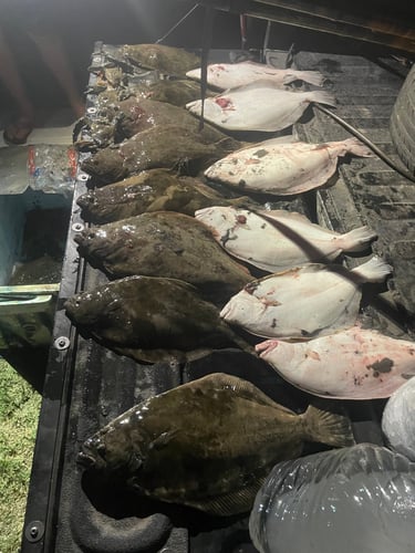 Corpus Christi Flounder Gigging In Port Aransas