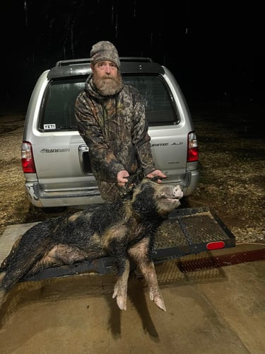 Alabama Thermal Hog Hunts In Thomasville