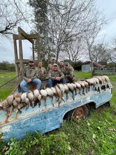 Texas Duck Hunt Fun! In Garwood