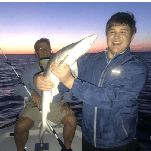 3 Hour Beginner Shark Fishing In Hilton Head Island