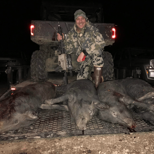 Thermal Hog Whack With Lodging In Dodd City