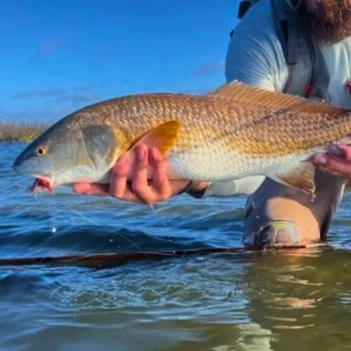 Your Fly Fishing Guide & Instructor In Matagorda