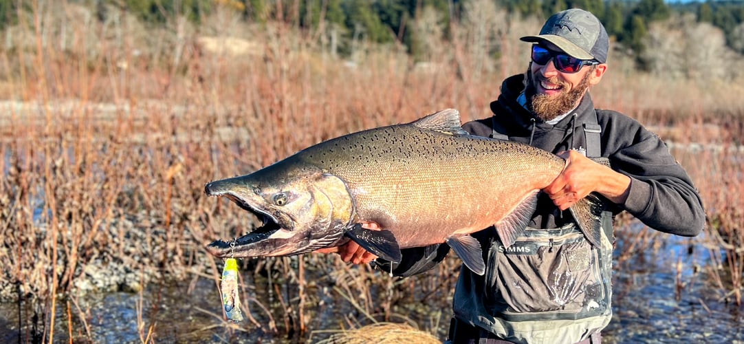 Salmon And Steelhead Trips In Brookings