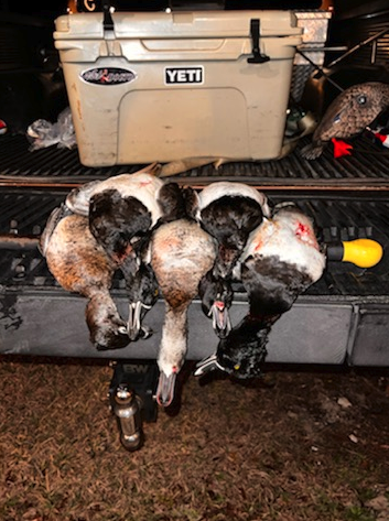 Central Florida Duck Hunts In Wildwood