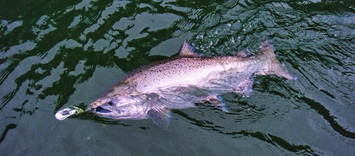 Salmon Fishing And Crabbing In Garibaldi