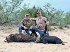 South Texas Pig Hunt In Arroyo City