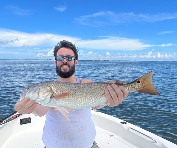 4 Hour Inshore In Cape Coral