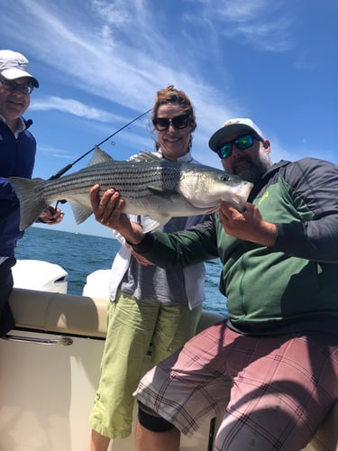 Early Season Striper 33’ Grady White In Chatham