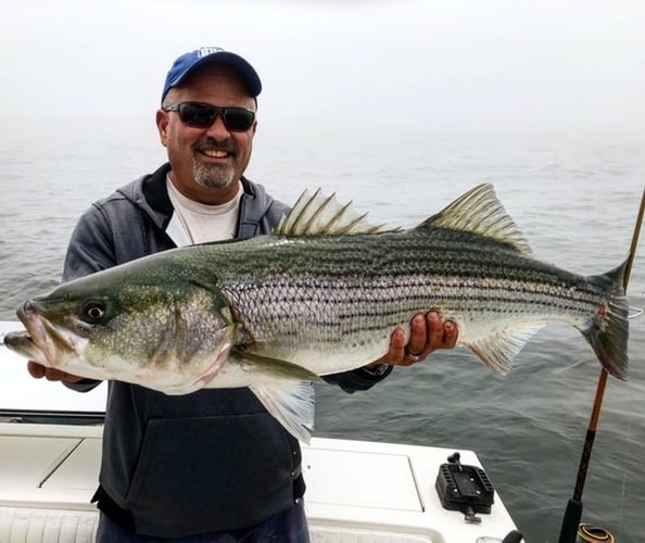 Early Season Striper 33’ Grady White In Chatham