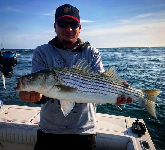 Midsummer-Fall Cape Cod Flyfishing In Chatham