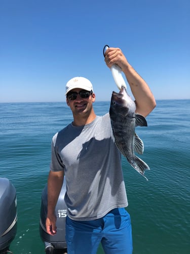 Early Season Striper 33’ Grady White In Chatham
