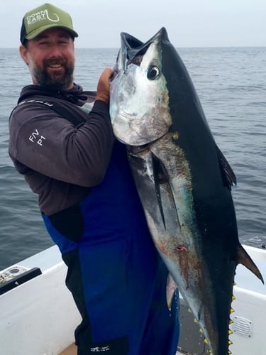 Tuna Trip - 26'  Regulator in Chatham