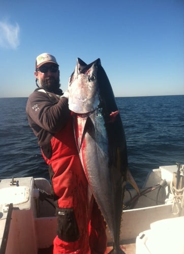 Tuna Trip - 26'  Regulator in Chatham