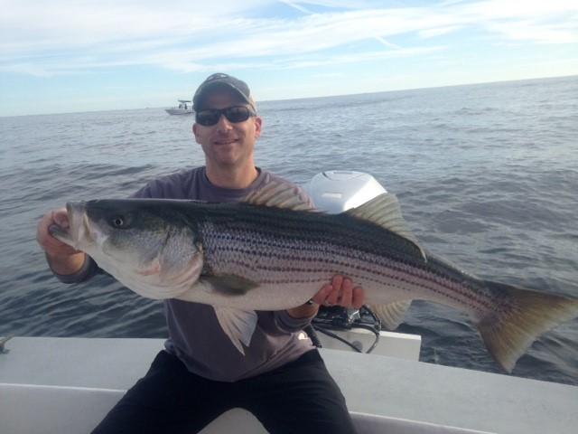 Early Season Striper 33’ Grady White In Chatham