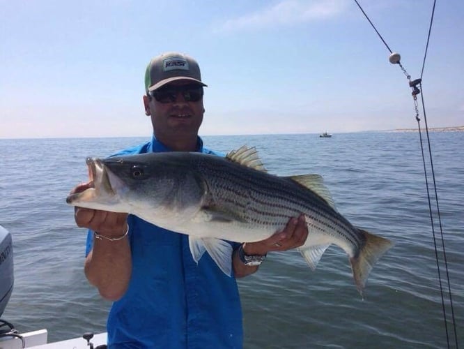 Early Season Striper 33’ Grady White In Chatham