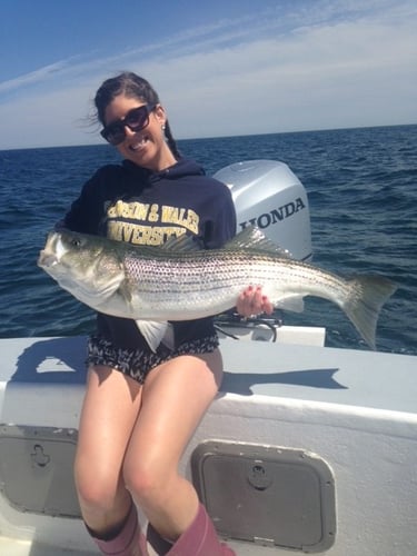 Early Season Striper 33’ Grady White In Chatham