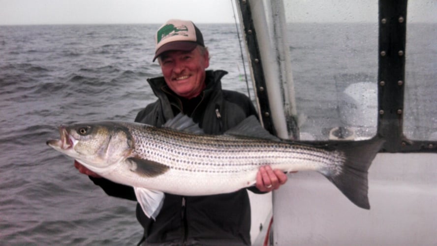 Early Season Striper 33’ Grady White In Chatham