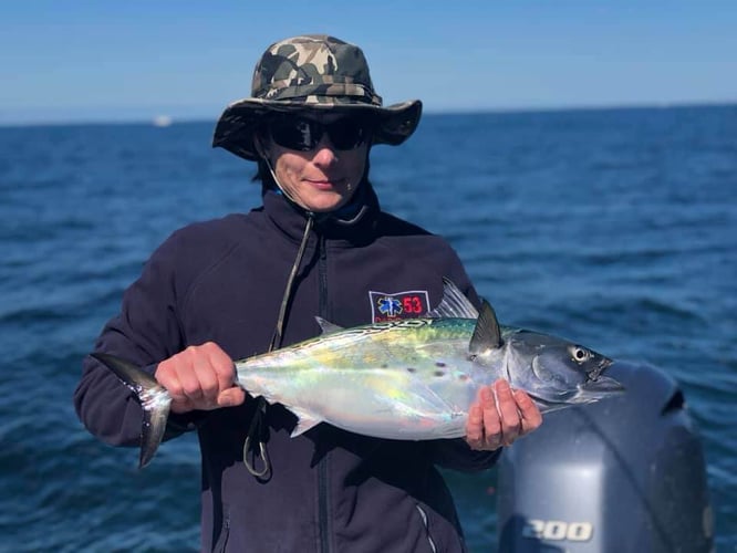 Tuna Trip - 26'  Regulator in Chatham