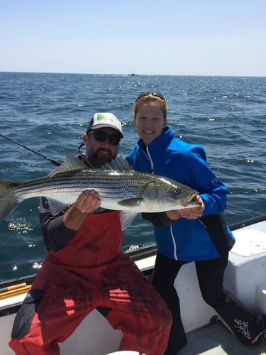 Early Season Striper 33’ Grady White In Chatham