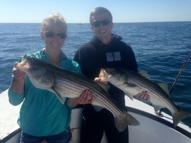 Early Season Striper 33’ Grady White In Chatham