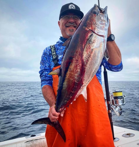 Tuna Trip - 26'  Regulator in Chatham