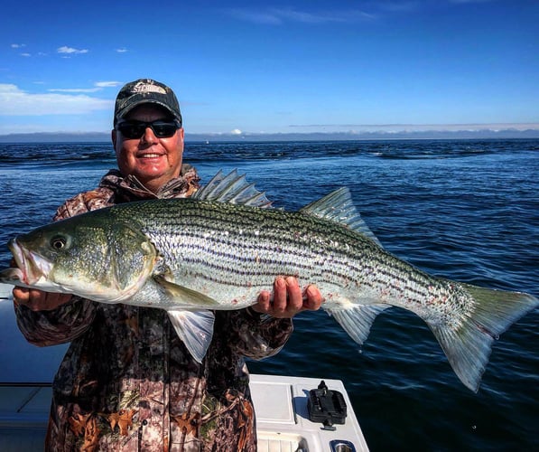 Midsummer-Fall Cape Cod Flyfishing In Chatham