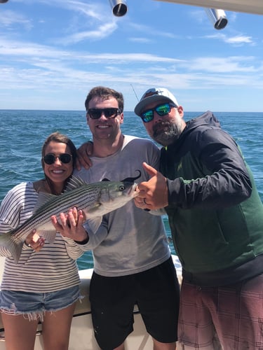 Early Season Striper 33’ Grady White In Chatham