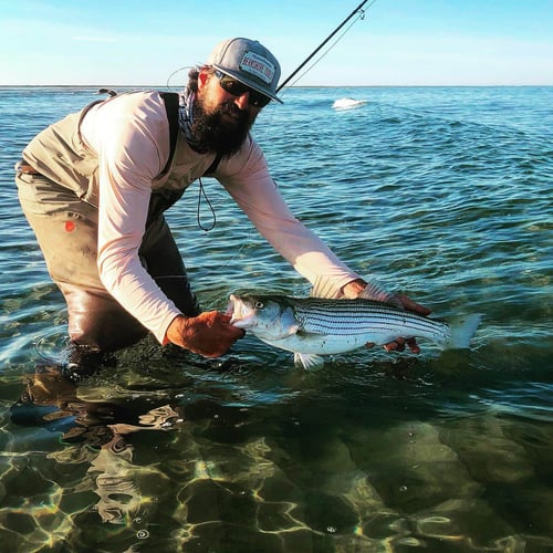 Early Season Cape Cod Flyfishing In Chatham