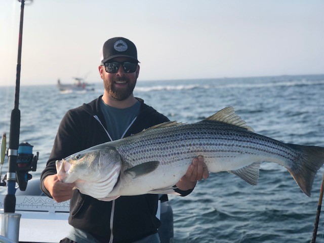 Early Season Striper 33’ Grady White In Chatham